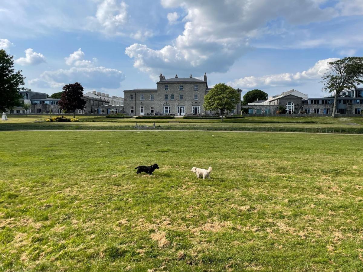 3 Bed- The Pavilion By Pureserviced Plymouth Esterno foto